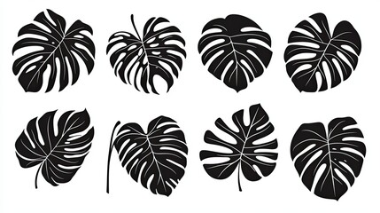 Fototapeta premium Set black silhouettes of tropical leaves isolated on white background, Tropical Foliage Silhouettes - Black Exotic Leaves on White Background