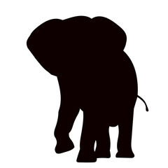 elephant walking silhouette on white background vector