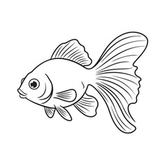 illustration of a fish