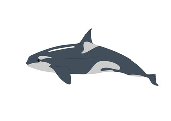 Orca Whale Simple Vector Illustration, Minimalist black and white vector illustration of an orca whale in a clean and simple design.