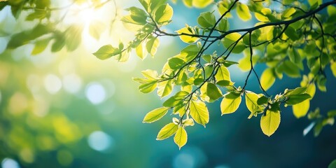 Obraz premium Vibrant green tree branches with fresh leaves illuminated by sunlight against a soft blue background during a serene spring morning