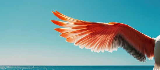 Obraz premium Close-up view of a vibrant red seagull wing against a serene blue ocean backdrop under clear skies with ample space for text inclusion