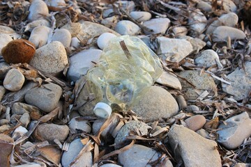 beach pollution with plastic waste