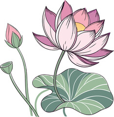 Water color lotus flower vector illustration