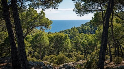 Fototapeta premium Serene coastal view framed by lush trees highlighting the beauty of nature and distant sea tranquility.
