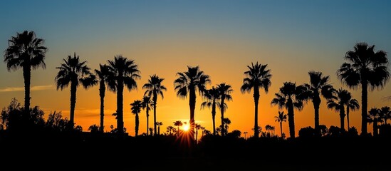 Serene Tropical Sunset with Silhouetted Palm Trees Against a Vibrant Orange and Blue Sky Ideal for Text Overlay in Coastal Landscape