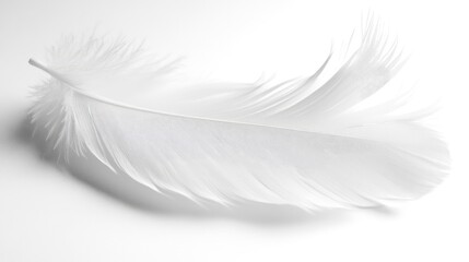 White Feather on Light Background Evoking Tranquility, Peaceful Sleep, and Serene Dreams Symbolism