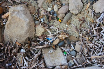 beach pollution with plastic waste