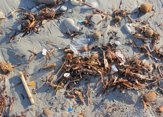 beach pollution with plastic waste