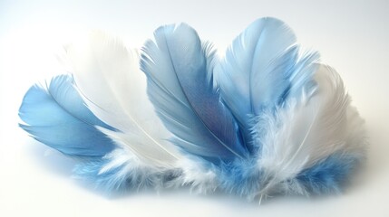 Delicate arrangement of soft blue and white feathers showcasing texture and color contrast for creative design projects