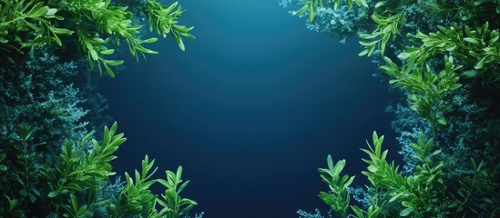Tranquil underwater landscape featuring lush green aquatic plants framing a deep blue void, ideal for textual overlay or creative projects.