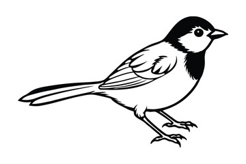 Obraz premium Line art of a Chickadee in a side view, showing its detailed wing and tail feathers.eps
