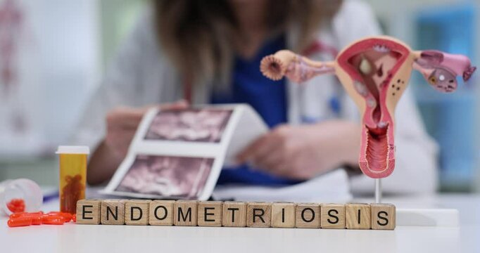 A healthcare professional thoroughly examines endometriosis using visual aids, charts, and appropriate medication