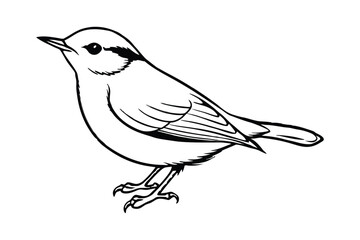 Line art of a Nuthatch in a side view, showing its detailed wing and tail feathers.eps