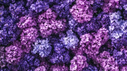 Vibrant Purple Statice Flowers Background for Elegant Floral Designs and Spring Themes
