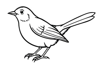 Line art of a robin in a side view, showing its detailed wing and tail feathers.eps