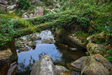 Himalayan stream, blue and clear water