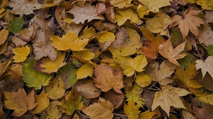 autumn leaves in the forest generative ai