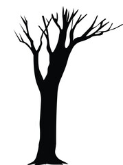 Dead wild tree silhouette.
