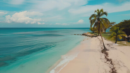 tropical island with trees