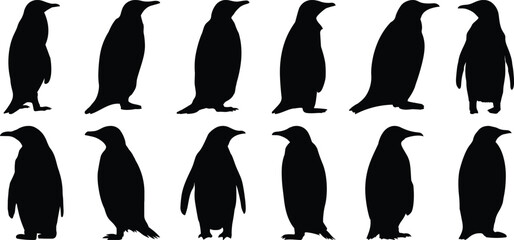 Pelican silhouette set vector design big pack of penguin illustration and icon © Catnip