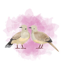 Mourning Dove Bird Valentines Day Animal Symbol of Love Postcard Watercolor Vector Illustration