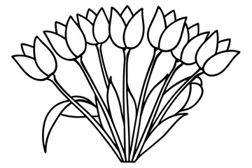 Minimalist Tulip Line Art Vector Designs set