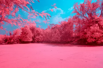 Fotobehang Fluor Roze Infrared photography, a landscape with a body of water surrounded by trees featuring strong pink and blue tones  © k33pcalmncapture