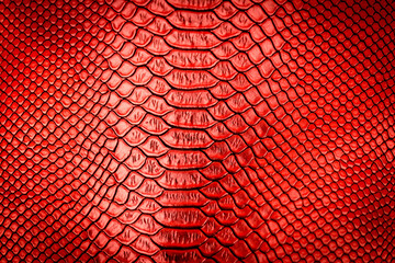 Red snake skin texture pattern can see the surface details.