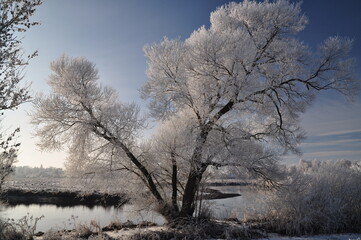 Winter-22