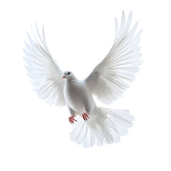 Obraz premium A free flying white dove isolated on transparent background - Generative AI