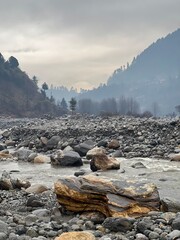 landscape in the morning fog