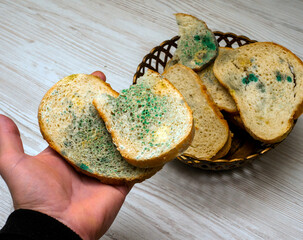 Close-up, Homemade bread in a man's hand, food with mold, on a light wooden table in the kitchen,...