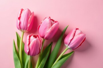 delicate tulip petals unfolding on soft pink surface, bouquet, blossoming, spring