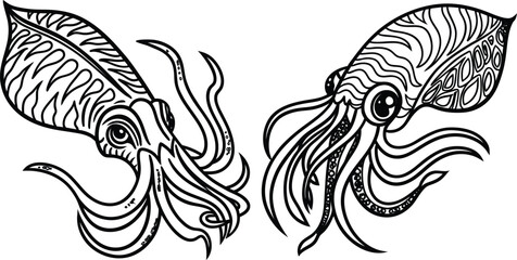 Obraz premium Squid bundle line art and illustrator eps