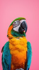 Fototapeta premium Petfluencer Marketing Exotic Parrot on Microphone Social Media Spotlight Vibrant Background