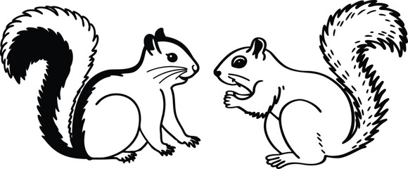 Squirrel bundle line art and illustrator eps