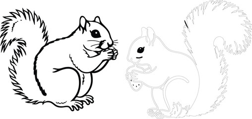 Squirrel bundle line art and illustrator eps
