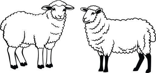 Sheep bundle line art and illustrator eps