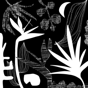 Fototapeta Flower art illustration. Botanical drawing with plants and flowers
