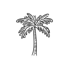 simple vector illustration of a palm tree 3
