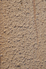 Vertical background of small wood shavings