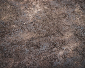 Earth background