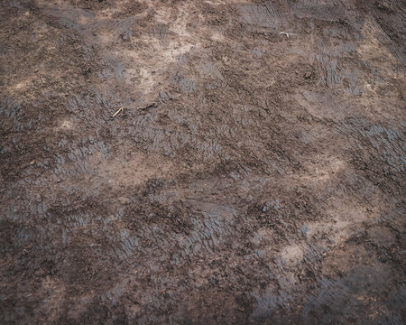 Earth background