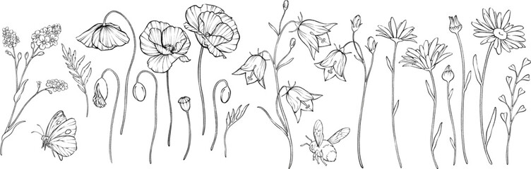Vector set of outline wildflowers. Engraving chamomile, poppy, bellflower, forget-me-not.