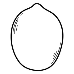 Hand drawn doodle lemon on white background.