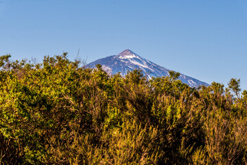 Paisaje con el Teide de fondo desde parque al aire libre, isla de Tenerife.