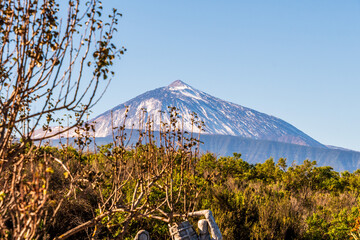Paisaje con el Teide de fondo desde parque al aire libre, isla de Tenerife.