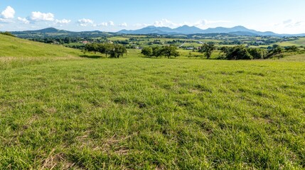 Fototapeta premium Sunny hillside pasture, mountain view, rural landscape, idyllic scenery; travel poster