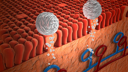 Medication Absorbed by Receptors on the Tongue
